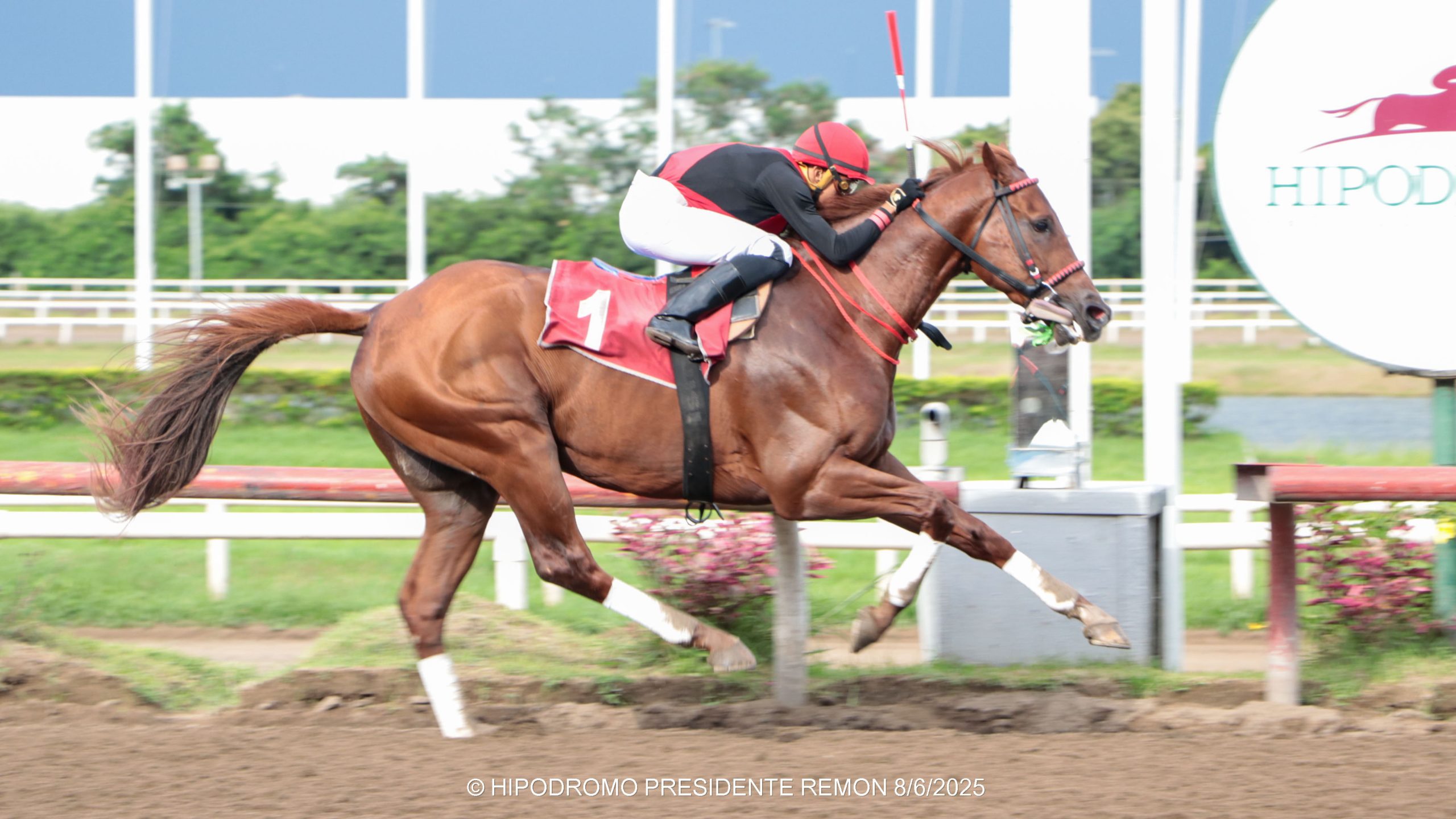 TAKAO impone nuevo récord en los 1700 metros con una espectacular victoria