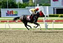 ETERNA AMANDA se pone la primera corona en el Clásico Hipódromo La Rinconada