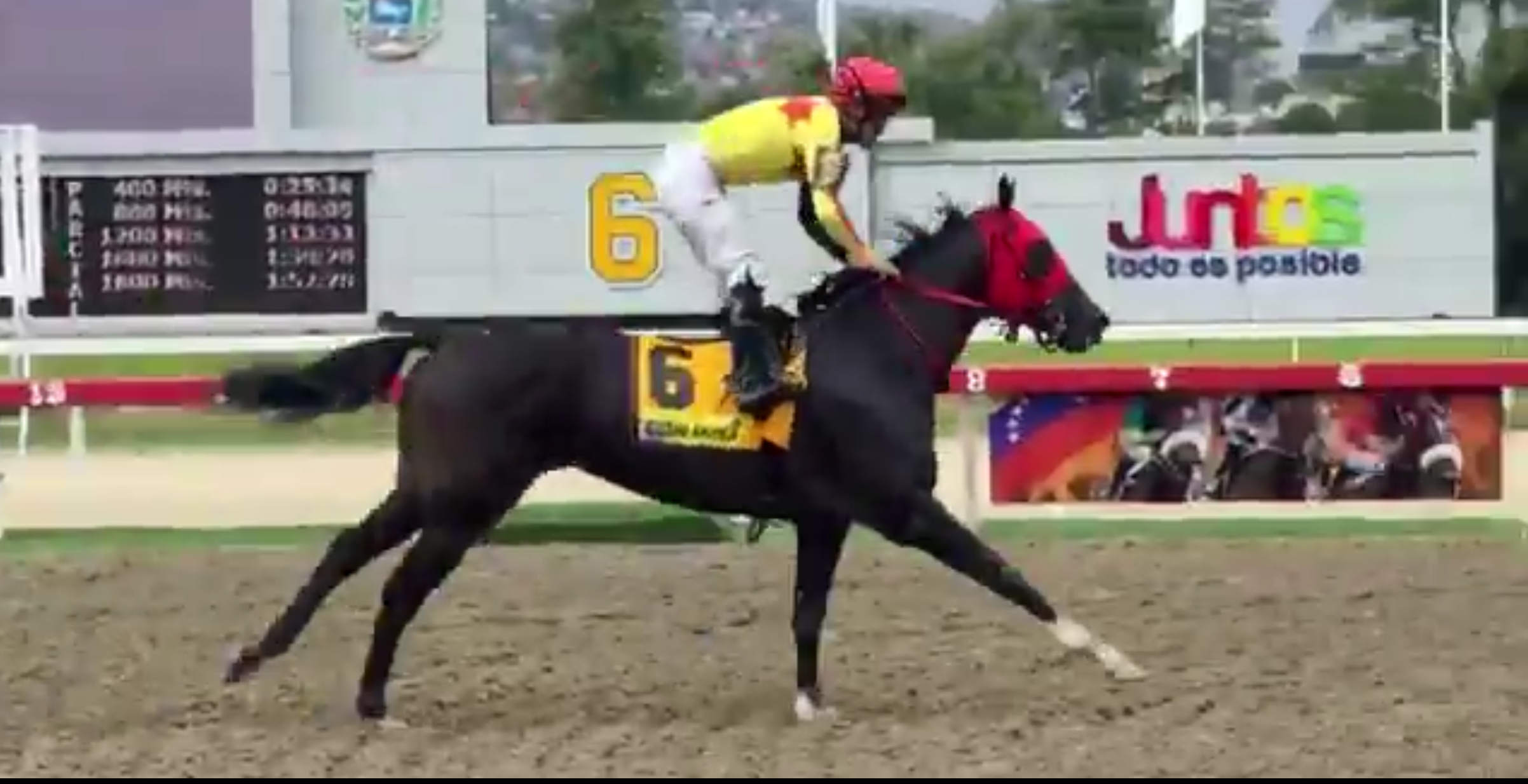 ETERNA AMANDA a una de la Triple Tiara en Venezuela