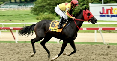 ETERNA AMANDA a una de la Triple Tiara en Venezuela
