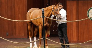Hija de Curlin récord de $975.000 en las exitosas ventas de junio en OBS