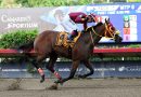 Histórico triunfo de CARISMÁTICO en la Copa San Juan