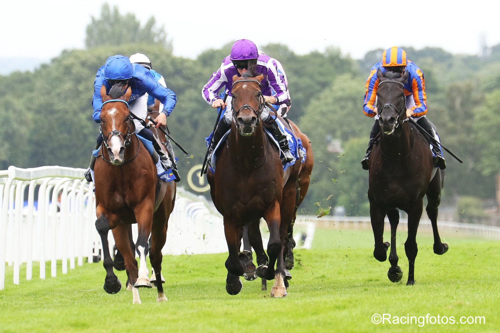 DELACROIX se reivindica en el Coral Eclipse Stakes