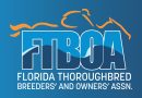 FTBOA elimina la mayoría de las tasas de registro para los potros criados en Florida de 2025