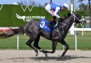IRON HAND busca su quinta victoria consecutiva el sábado en el Bear’s Den