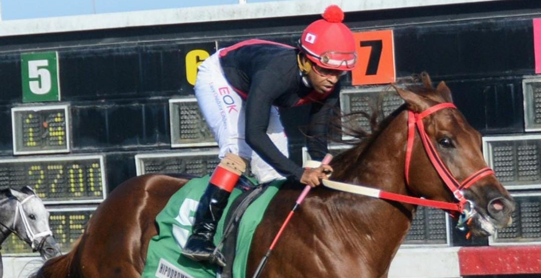 MACIZO y COLOSAL se enfrentan en Clásico Francisco del Rosario Sánchez