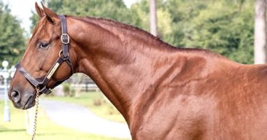 GUNNEVERA servirá en Uruguay