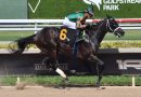 Prometedor debut de ROAD FOREVER