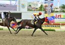 FAST SENSATIONS pasa a la historia de la Gala Hípica de Caracas