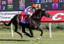 NOTICIAS DESDE HARAS LUISIANA: ¡Su madre es ½ hermana de THE FERRYMAN! El zaino GIOCOSO mostró clase en la milla del SECRETARIAT S. (G2)