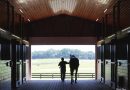 Pleasant Acres Stallions concluye con éxito la temporada de monta 2025 a pesar de los retos del sector