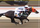 MUFASA – KING JULIEN la Exacta del Haras HM