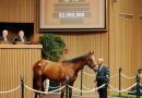 El mercado sigue al alza este sábado en Keeneland con un Into Mischief por $2 millones