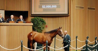 Las ventas de septiembre en Keeneland concluyen con un récord de $531,5 millones