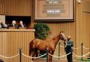 Hijo de Maclean’s Music encabeza la sesión del lunes en Keeneland con Pedro Lanz en plan estelar