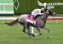 LENNILU se impone con autoridad en el Leinster Hollywood Beach