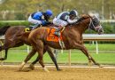 LOCKED a Gainesway, no correrá la Breeders´Cup Classic
