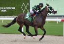 PREVENT gana el Mambo Meister Stakes