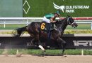 ROAD FOREVER listo para su debut selectivo en el Aventura