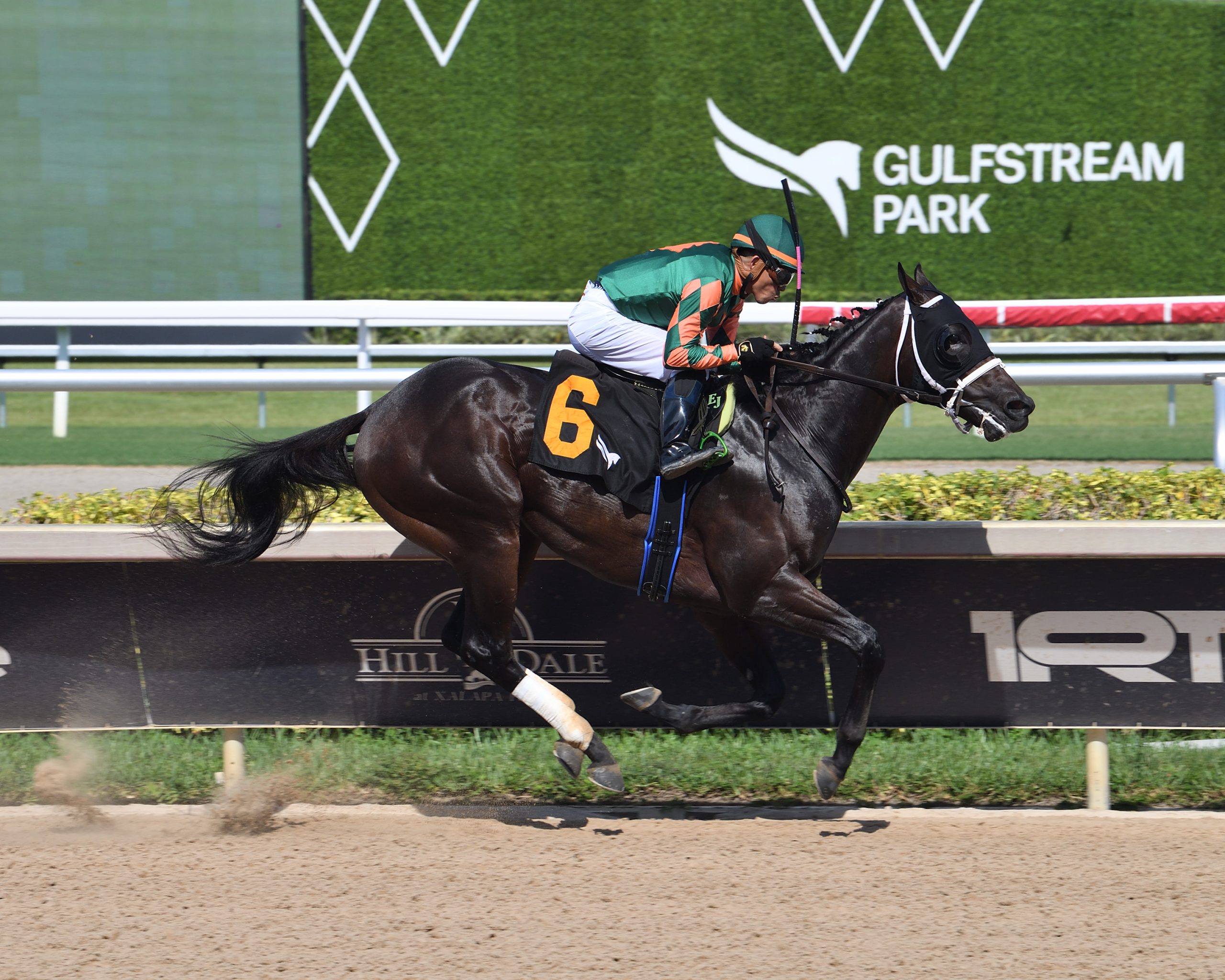 ROAD FOREVER listo para su debut selectivo en el Aventura