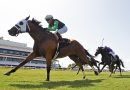 XY SPEED participará en el Bob Umphrey Turf Sprint