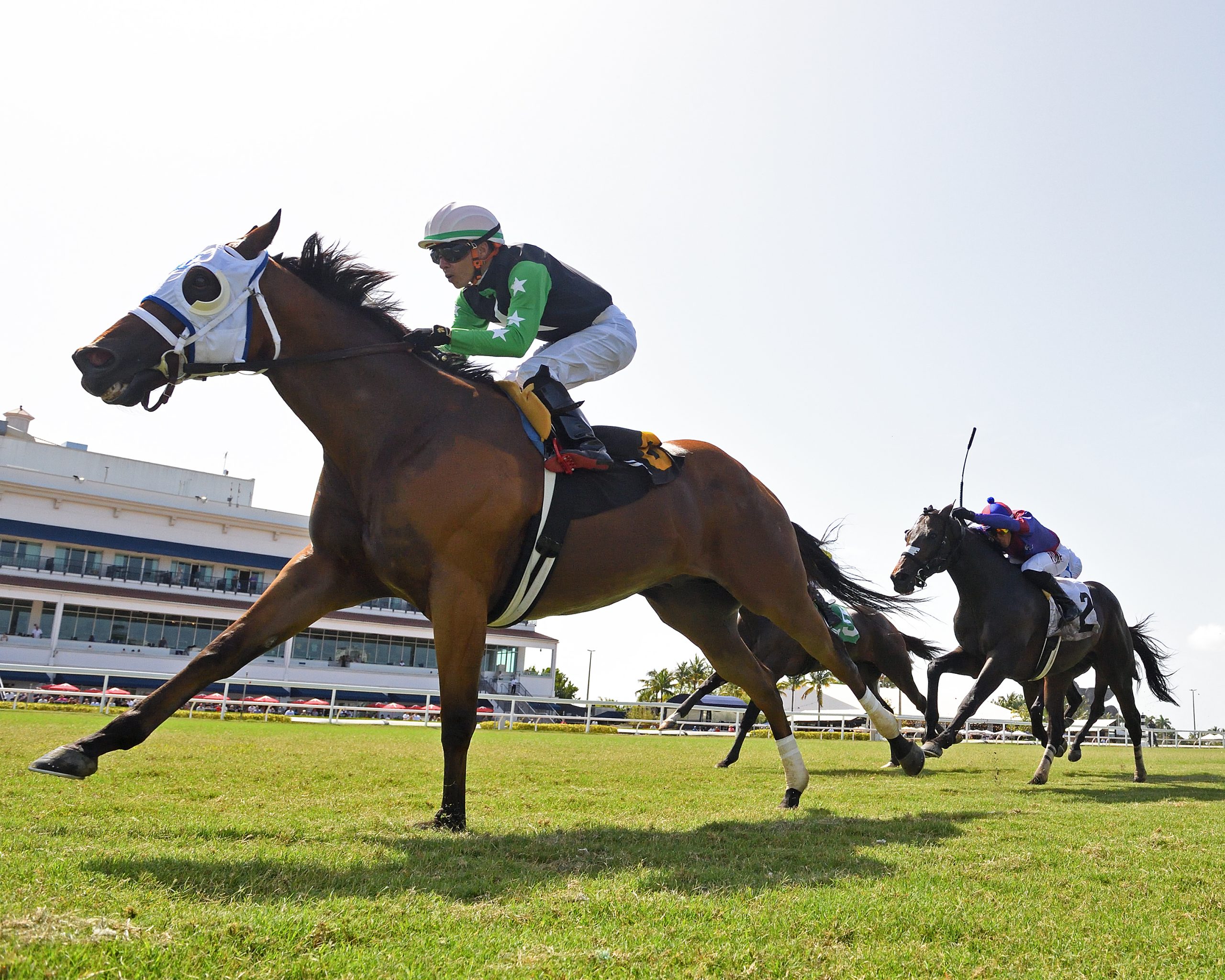 XY SPEED participará en el Bob Umphrey Turf Sprint