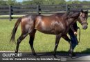Pleasant Acres Stallions anuncia la primera yegua preñada confirmada por GULFPORT