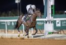 Las estrellas se reúnen para el fin de semana especial de la temporada de Taif