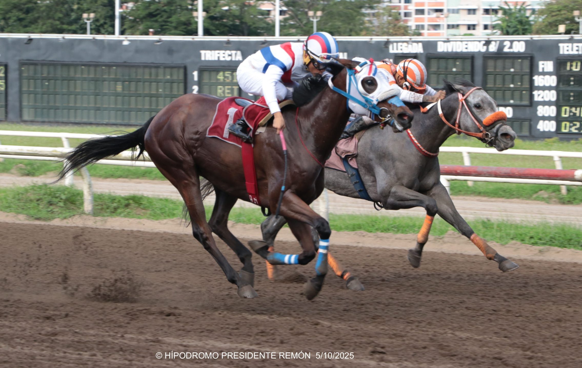 BUENA VIBRA gana el Handicap Takao con récord en 1700 metros