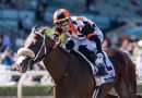 INTREPIDO derrota a DESERT GATE en el American Pharoah