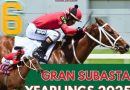 NOTICIAS DESDE HARAS LUISIANA: ¡Con 5 Yearlings este Jueves! HARAS LUISIANA estará participando en la SUBASTA organizada por UNICRÍA en el CLUB HÍPICO DE CARACAS