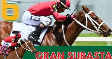 NOTICIAS DESDE HARAS LUISIANA: ¡Con 5 Yearlings este Jueves! HARAS LUISIANA estará participando en la SUBASTA organizada por UNICRÍA en el CLUB HÍPICO DE CARACAS