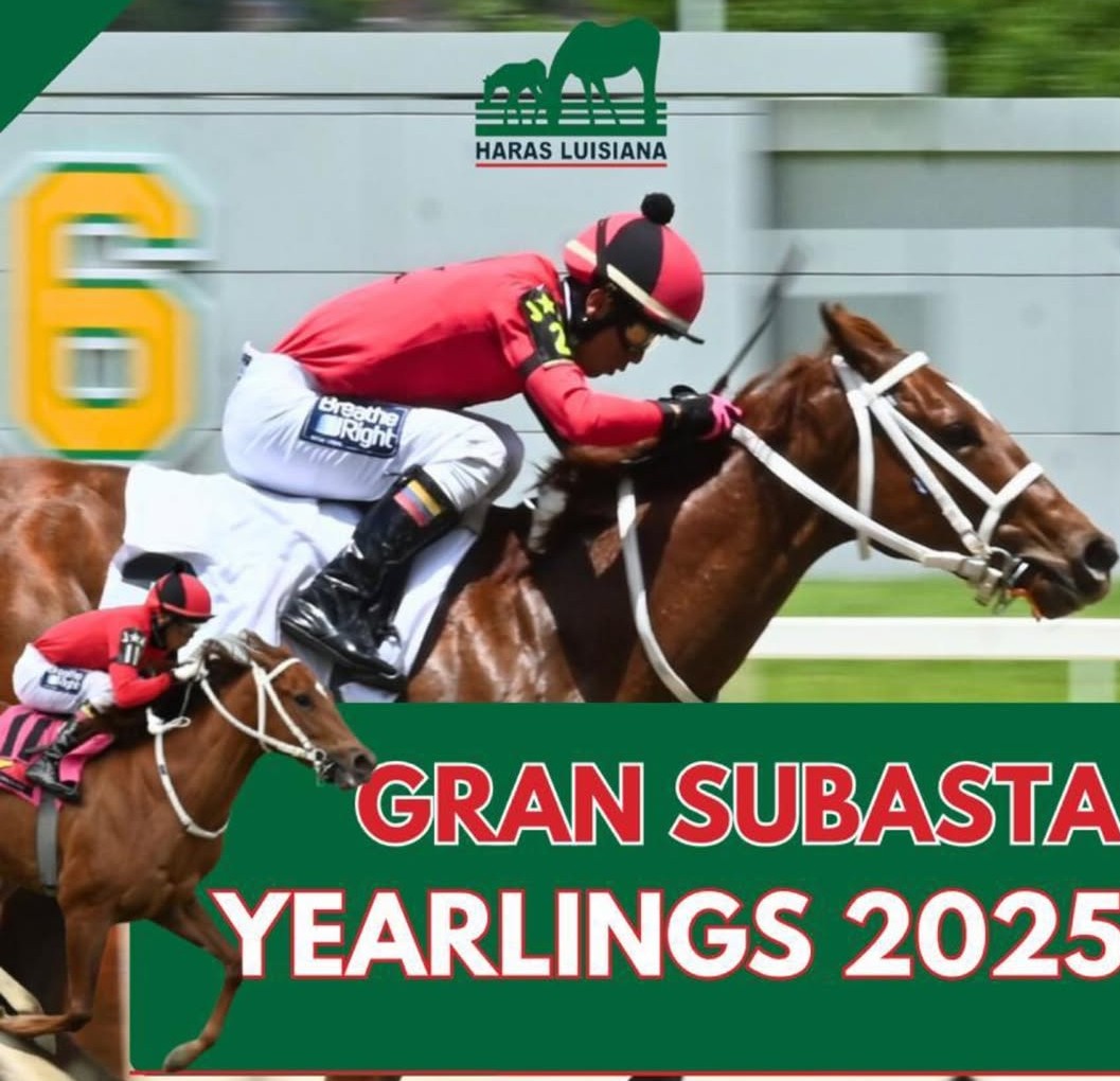 NOTICIAS DESDE HARAS LUISIANA: ¡Con 5 Yearlings este Jueves! HARAS LUISIANA estará participando en la SUBASTA organizada por UNICRÍA en el CLUB HÍPICO DE CARACAS