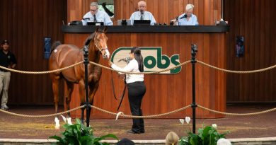Hijo de Jackie’s Warrior destaca en la última sesión de la Ventas de Yearlings de OBS en octubre