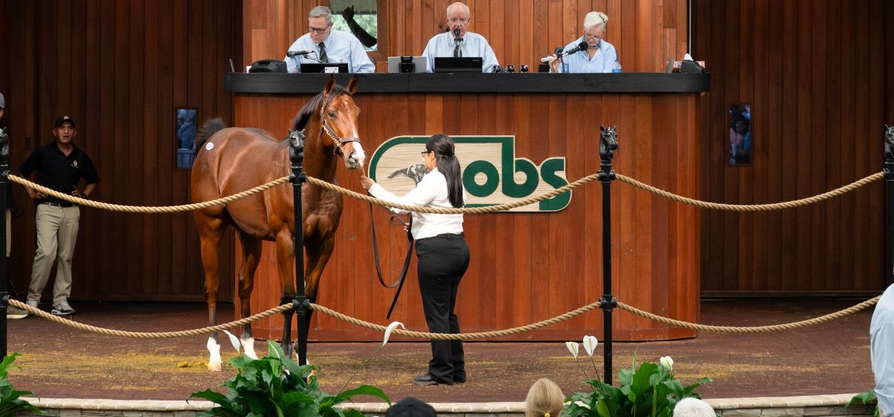 Hijo de Jackie’s Warrior destaca en la última sesión de la Ventas de Yearlings de OBS en octubre