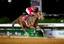 La nueva temporada en el hipódromo King Abdulaziz comienza el jueves