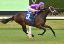 Spirit Doll debuta en césped ganando el Our Dear Peggy