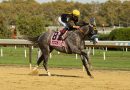 NAPOLEÓN SOLO brinda en solitario en el Champagne STakes