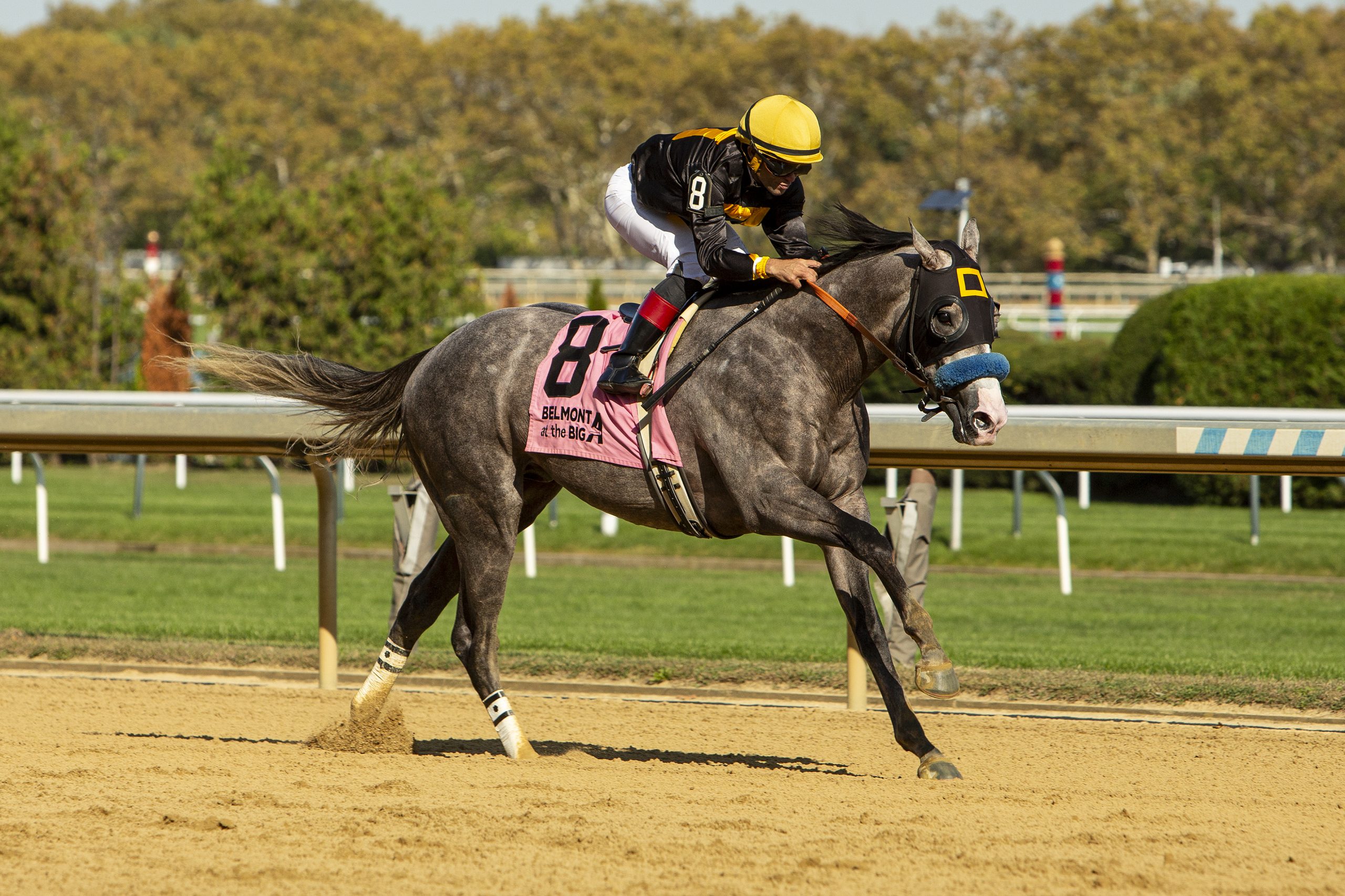 NAPOLEON SOLO, COMMANDMENT, CHIEF WALLABEE y JACKSON HOLE inscritos en el Fountain