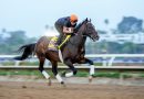 Ejercicios – Longines Breeders’ Cup Classic