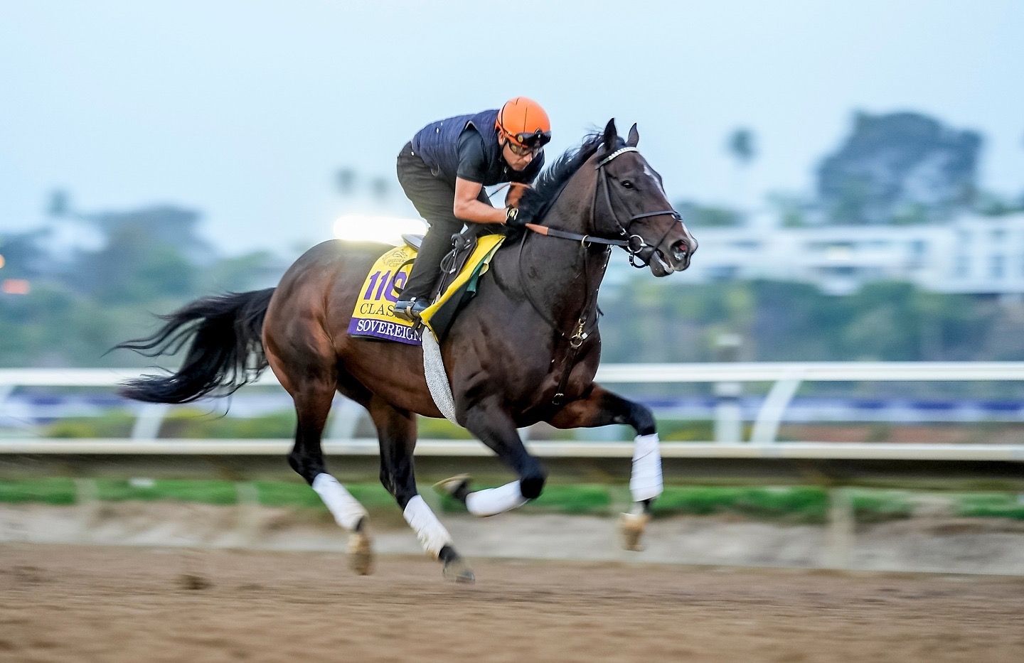 Ejercicios – Longines Breeders’ Cup Classic