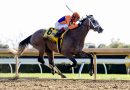 TED NOFFEY rumbo al Eclipse Award tras ganar el Breeders´ Futurity