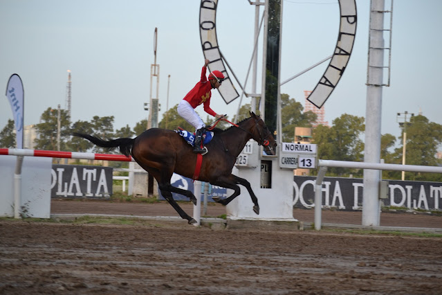 THE GLADIATOR’S HAT cautivó a todos con un triunfo enorme en el Dardo Rocha
