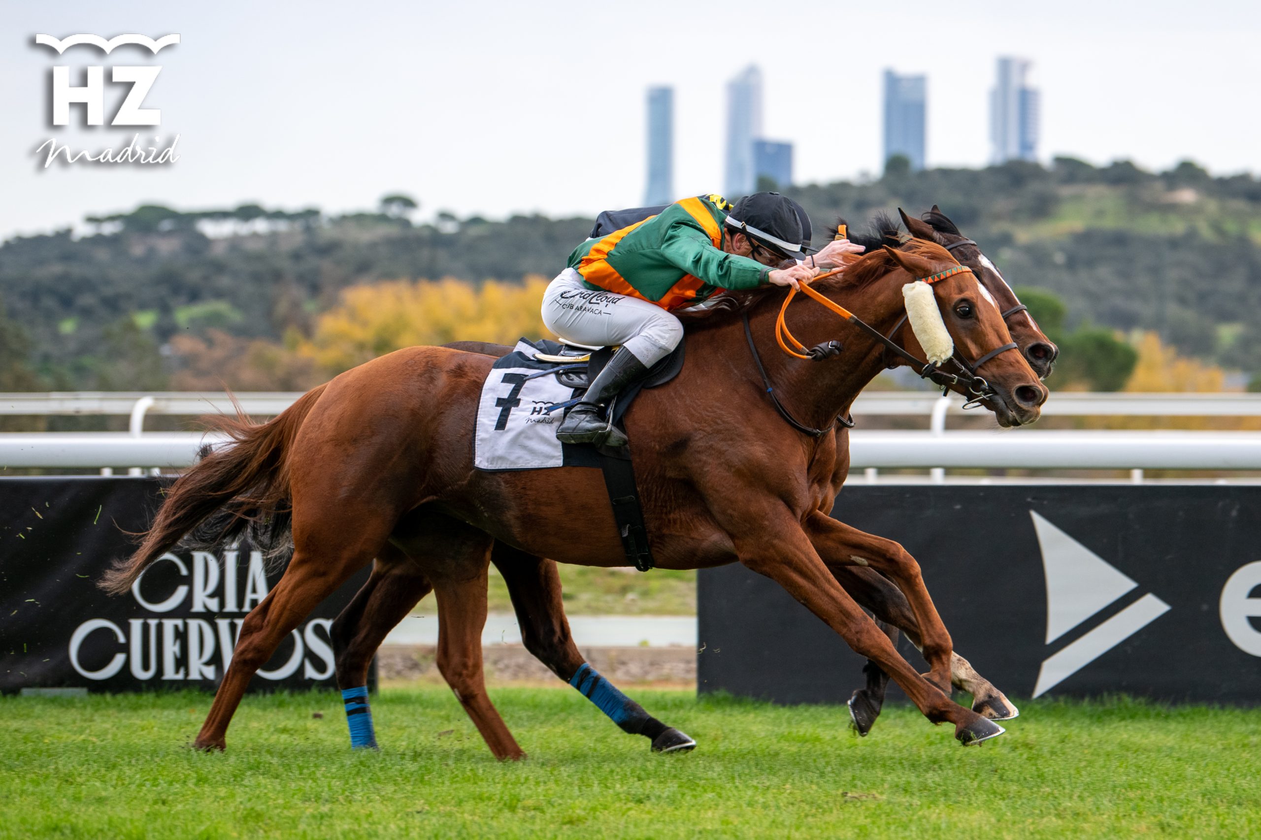 LOS PREMIOS VEIL PICARD Y ENTRE COPAS-GLADIATEUR DESPIDEN LA TEMPORADA DE OTOÑO