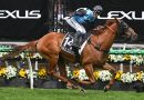 HALF YOURS con Jamie Melham gana la Melbourne Cup