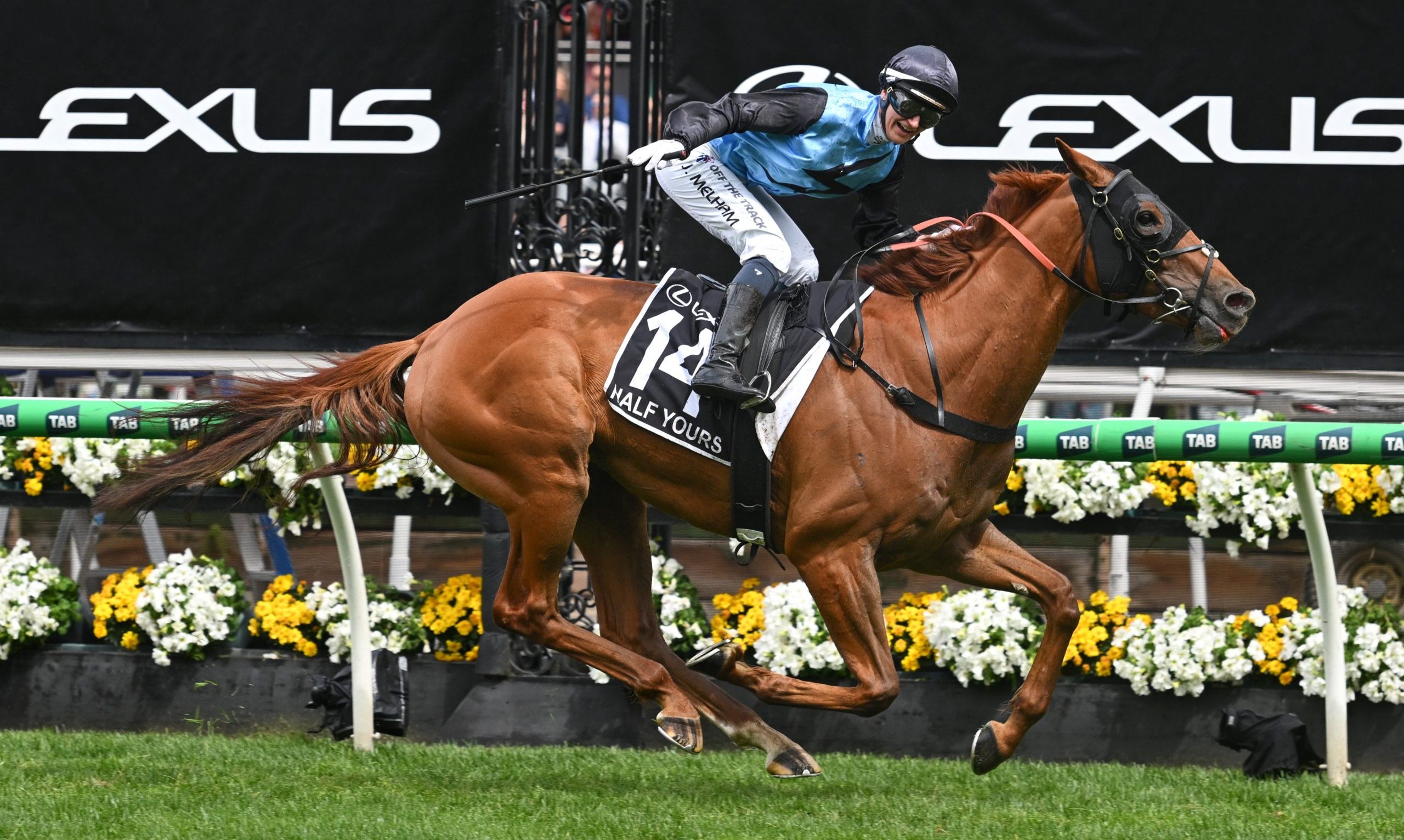HALF YOURS con Jamie Melham gana la Melbourne Cup