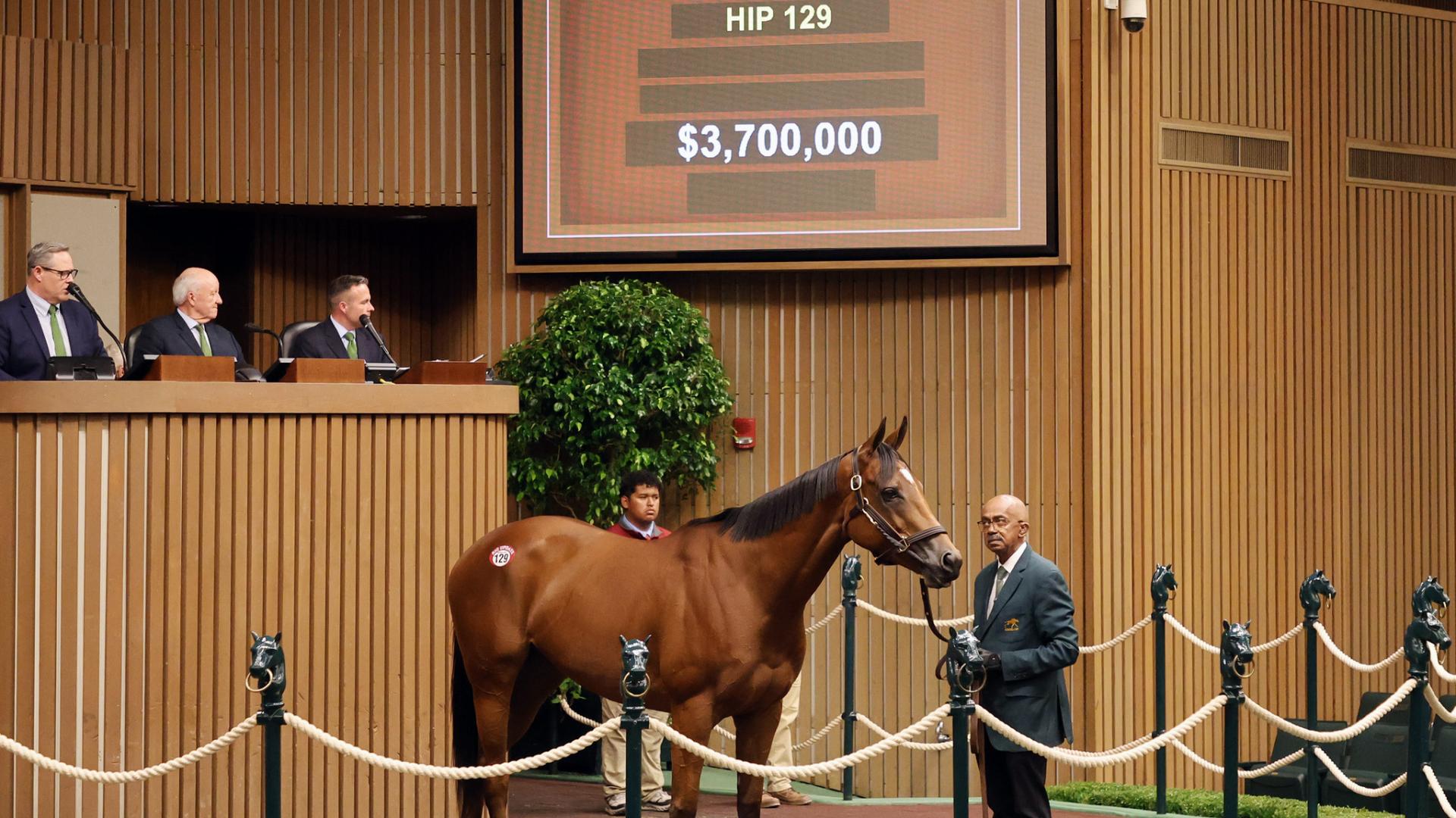 La británica LUSH LIPS lidera la primera sesión de las ventas de noviembre en Keeneland