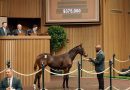 Dos piezas alcanzan los $375.000 el viernes, mientras que las ventas totales en Keeneland alcanzan los $189 millones