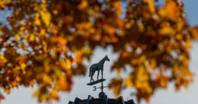 Un weanling por YAUPON fue lo más costoso del domingo en Keeneland