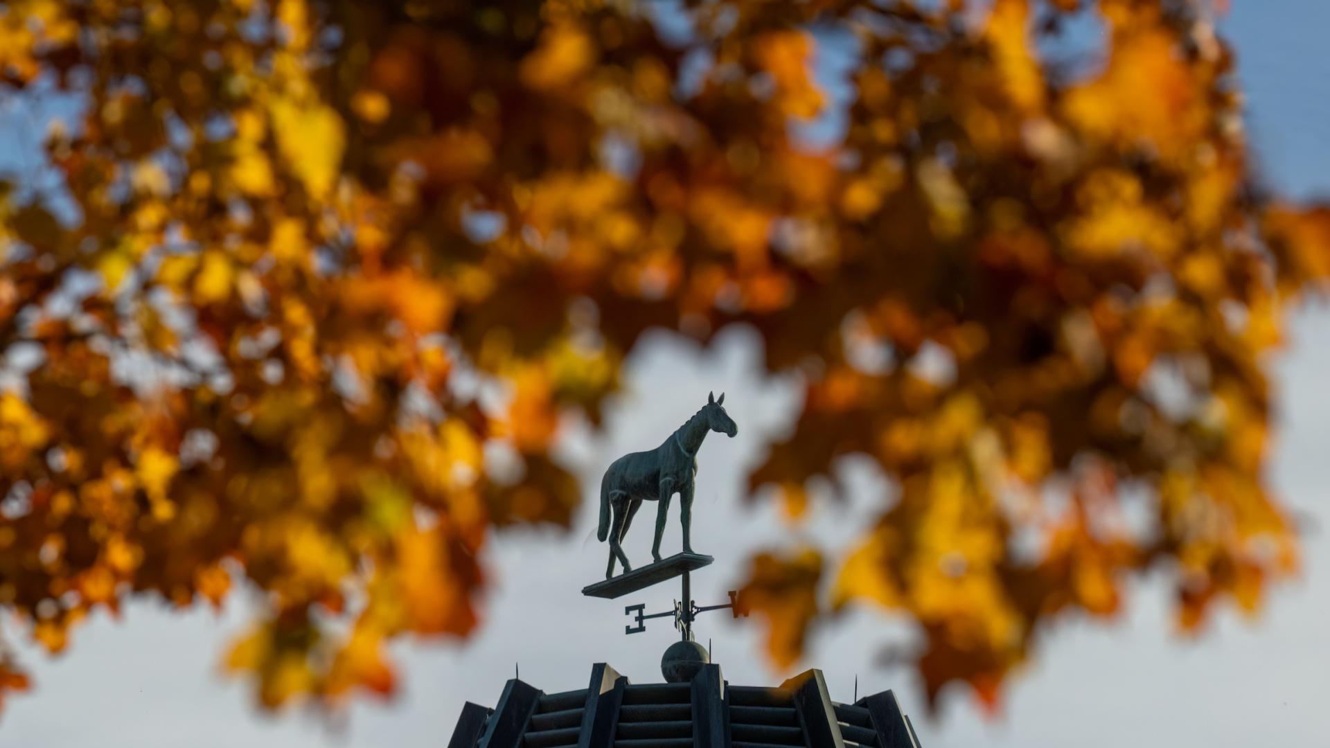 Un weanling por YAUPON fue lo más costoso del domingo en Keeneland